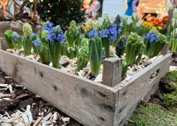 Fruehling In Jenas Goethe Galerie 2024 08